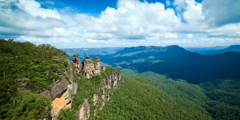 are dogs allowed in national parks nsw