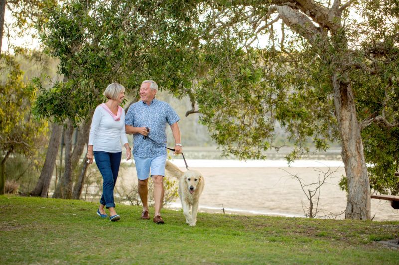 pet friendly accommodation at woolgoolga lakeside holiday park