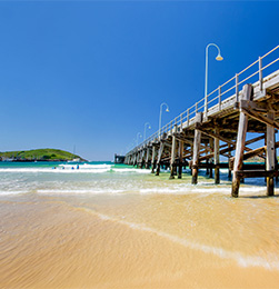 Walk to Jetty Beach & Muttonbird Island