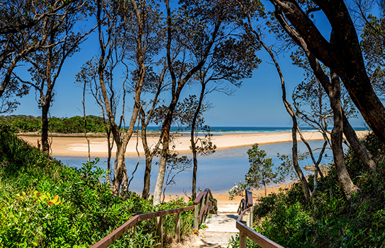 Bonville Creek
