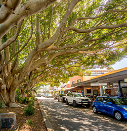 Sawtell Village, Cafes & Shops