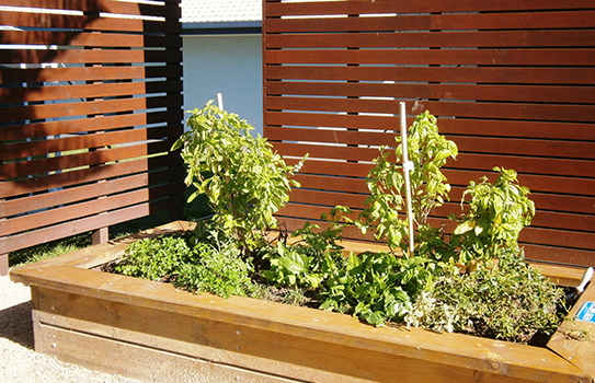 Herb Garden