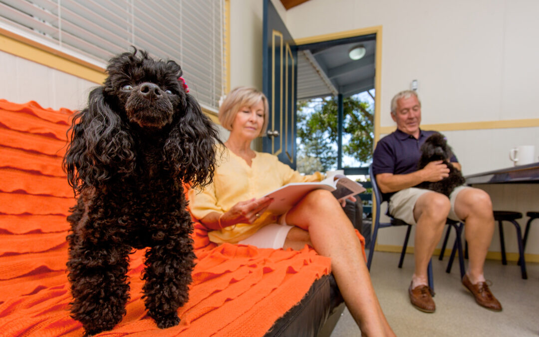 Pet Friendly Water View Villas Now At Woolgoolga Lakeside