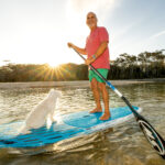 pet friendly woolgoolga lakeside