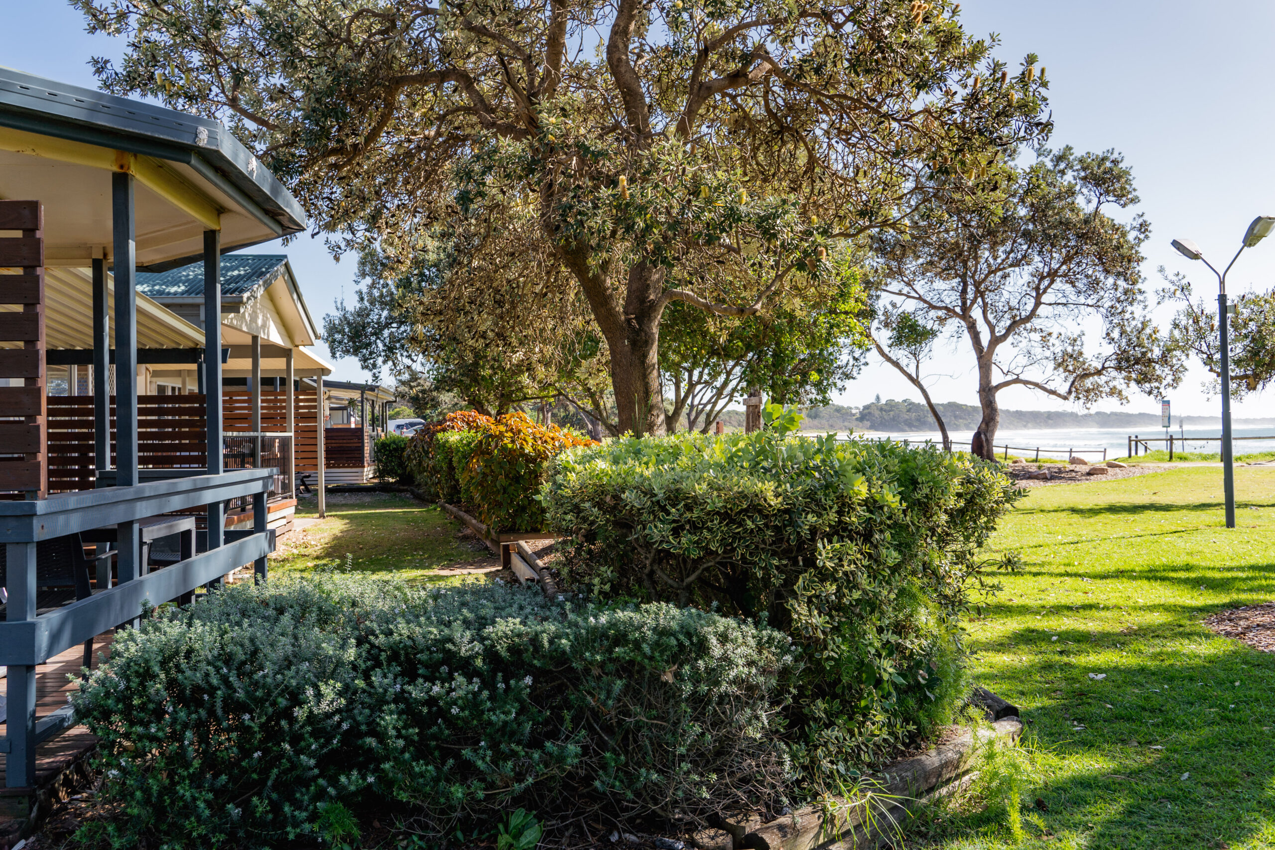 WL - Lifestyle - Greys - Location - Pet Friendly - Beach - 1 - small woolgoolga beach holiday park
