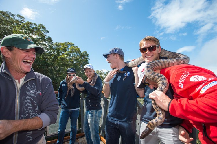 Reptile world at BIG4 Park Beach