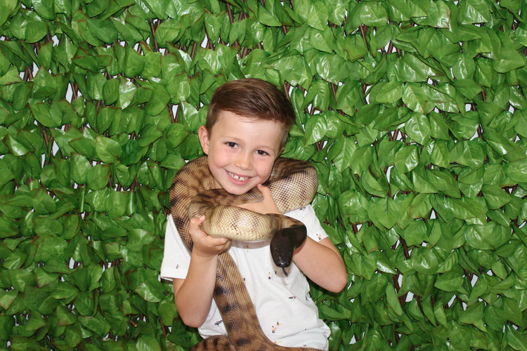 School Holiday Adventure Awaits: Reptile World Comes to BIG4 Park Beach!