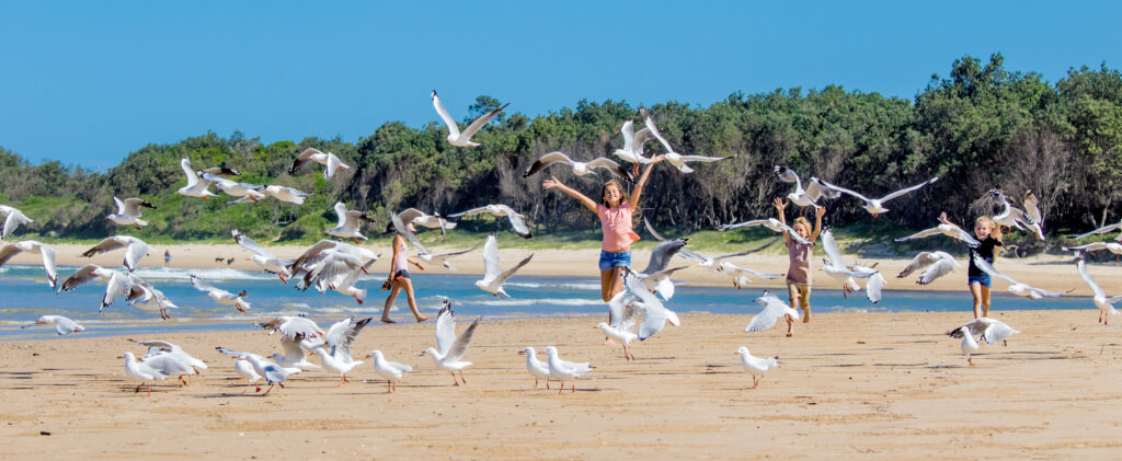 Park Beach Coffs Harbour