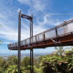 Sealy Lookout