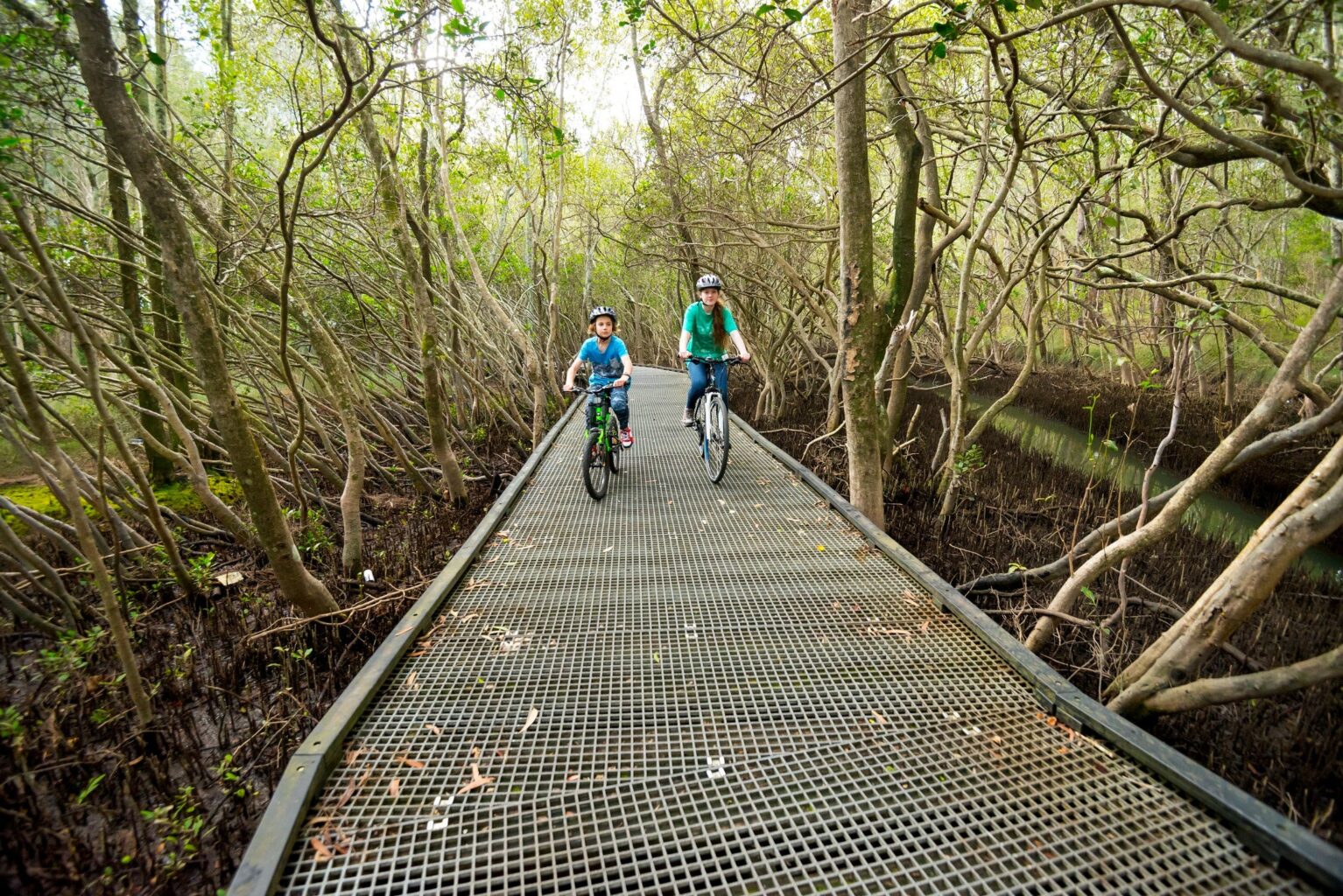 Coffs Creek