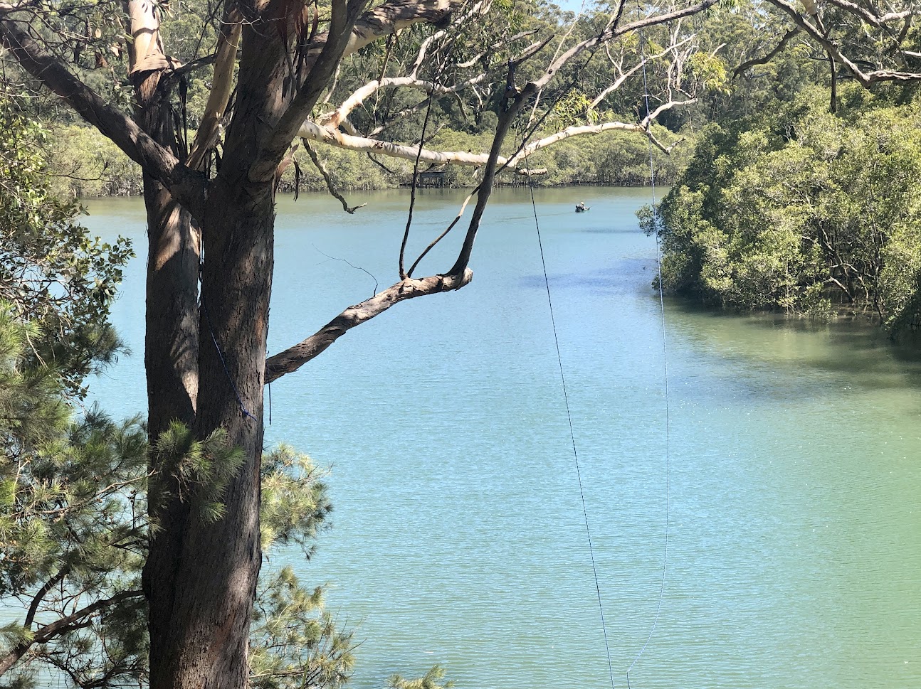Coffs Creek